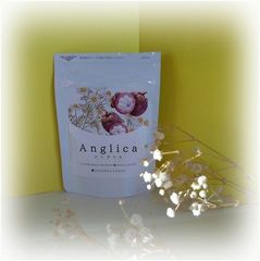 Anglica(アングリカ)