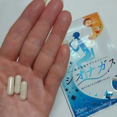 シオナガス