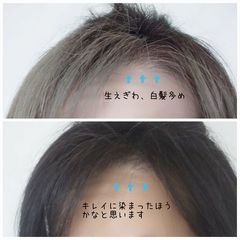 サイオス カラートリートメント アッシュブラック
